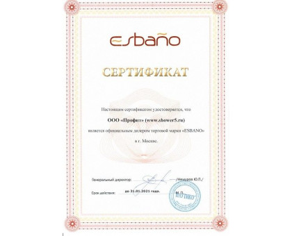 Душевая дверь в нишу ESBANO-100-2LD 100 см